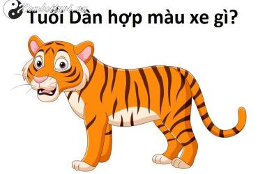 Sinh năm 1962 mua xe màu gì?