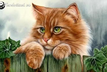 Sinh năm 1963 hợp màu gì? Giải mã phong thủy màu sắc cho tuổi Quý Mão