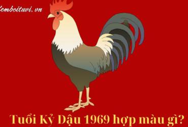 Sinh năm 1969 mua xe màu gì?