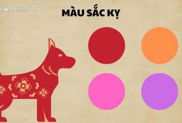 Sinh năm 1970 hợp màu gì? Màu sắc mang lại may mắn cho tuổi Canh Tuất