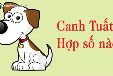 Khám Phá Bí Mật Con Số May Mắn Cho Người Sinh Năm 1970 – Mang Lại Tài Lộc Và Thành Công!