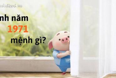 Sinh năm 1971 hợp màu gì? Bí quyết chọn màu sắc may mắn cho tuổi Tân Hợi