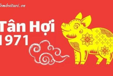 Khám Phá Con Số May Mắn Và Sim Phong Thủy Cho Người Sinh Năm 1971