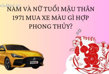 Sinh năm 1971 mua xe màu gì? Chọn màu xe hợp phong thủy cho tuổi Tân Hợi