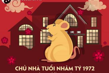 Sinh năm 1972 hợp hướng nào? Phân tích chi tiết theo phong thủy