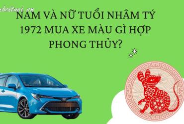 Sinh năm 1972 mua xe màu gì? Phân tích đầy đủ theo phong thủy