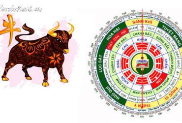 Người Sinh Năm 1973 Đặt Bàn Làm Việc Theo Hướng Này, Tài Lộc Và Sự Nghiệp Sẽ Bùng Nổ