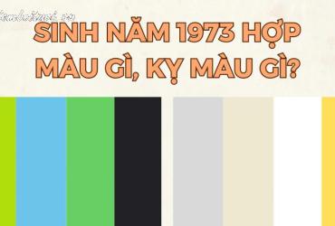 Sinh năm 1973 hợp màu gì? Màu sắc phong thủy cho người tuổi Quý Sửu