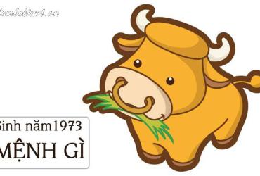 Sinh năm 1973 mệnh gì? Phân tích đầy đủ về tính cách và phong thủy