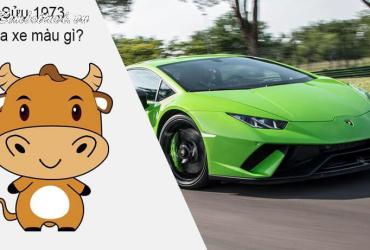 Sinh năm 1973 mua xe màu gì? Lựa chọn màu xe phong thủy cho tuổi Quý Sửu