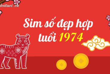 Khám Phá Con Số May Mắn Và Sim Phong Thủy Đổi Vận Cho Người Sinh Năm 1974