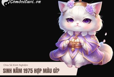 Sinh năm 1975 hợp màu gì? Màu sắc phong thủy cho người tuổi Ất Mão