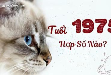 Khám Phá Con Số May Mắn Cho Người Sinh Năm 1975: Bí Mật Sim Phong Thủy Hợp Tuổi Ất Mão!