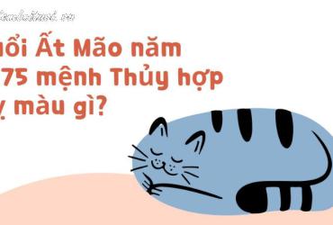 Sinh năm 1975 mua xe màu gì?