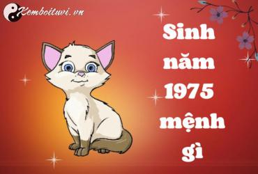Sinh năm 1975 mệnh gì? Phân tích đầy đủ về người tuổi Ất Mão
