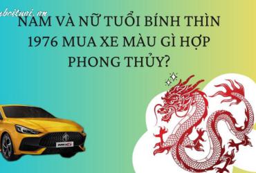 Sinh năm 1976 mua xe màu gì?