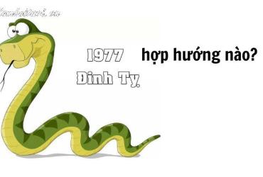 Sinh năm 1977 hợp hướng nào? Bí quyết chọn hướng phong thủy cho tuổi Đinh Tỵ