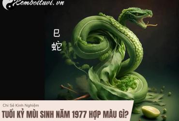 Sinh năm 1977 hợp màu gì? Màu sắc phong thủy cho người tuổi Đinh Tỵ