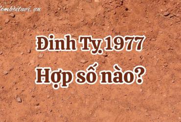 Khám Phá Con Số May Mắn Và Sim Phong Thủy Đặc Biệt Cho Người Sinh Năm 1977!