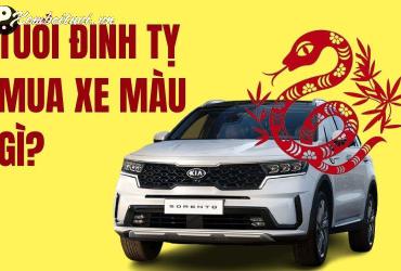 Sinh năm 1977 mua xe màu gì? Phân tích phong thủy chi tiết