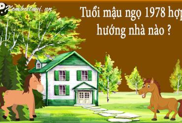 Sinh năm 1978 hợp hướng nào? Hướng nhà tốt cho tuổi Mậu Ngọ