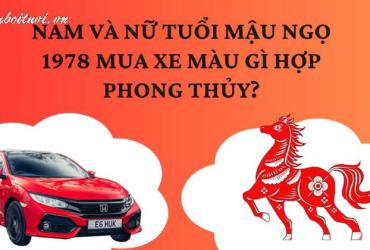 Sinh năm 1978 mua xe màu gì? Bí quyết chọn màu xe hợp phong thủy