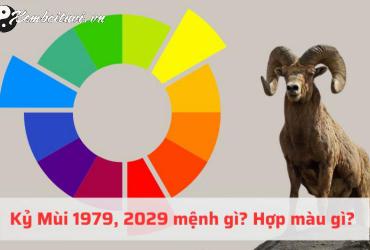 Sinh năm 1979 hợp màu gì? Các màu phong thủy tương hợp với tuổi Kỷ Mùi