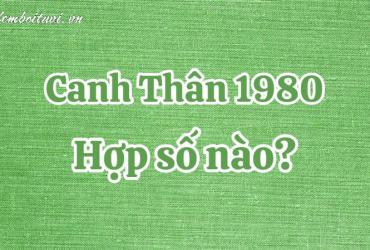 Khám Phá Con Số May Mắn Cho Người Sinh Năm 1980: Bí Quyết Chọn Sim Phong Thủy Hợp Tuổi!