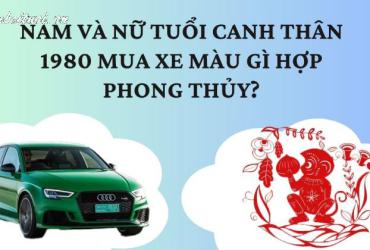Sinh năm 1980 mua xe màu gì?