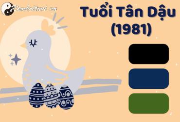 Sinh năm 1981 hợp màu gì? Phân tích chi tiết về phong thủy màu sắc