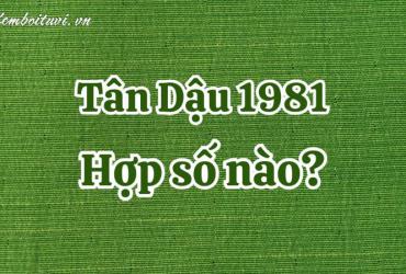 Người Sinh Năm 1981: Bí Mật Con Số May Mắn và Sim Phong Thủy Tài Lộc