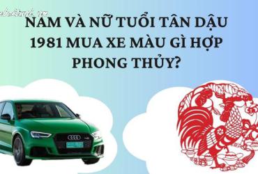 Sinh năm 1981 mua xe màu gì?