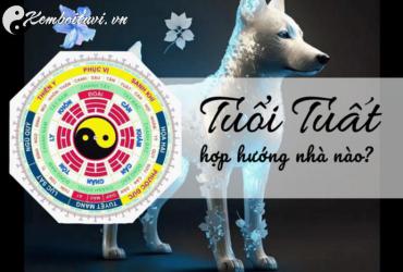 Sinh năm 1982 hợp hướng nào? Hướng dẫn chi tiết theo phong thủy