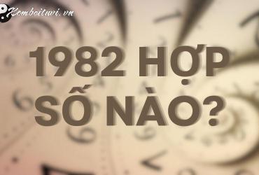 Khám Phá Bí Mật: Người Sinh Năm 1982 Hợp Số Mấy? Chọn Sim Phong Thủy Mang Tài Lộc!
