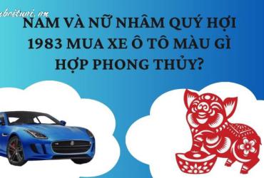 Sinh năm 1983 mua xe màu gì?