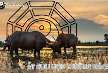 Sinh năm 1985 hợp hướng nào? - Giải mã phong thủy cho tuổi Ất Sửu