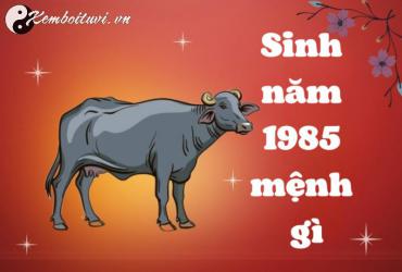 Sinh năm 1985 mệnh gì? Phân tích chi tiết về người tuổi Ất Sửu