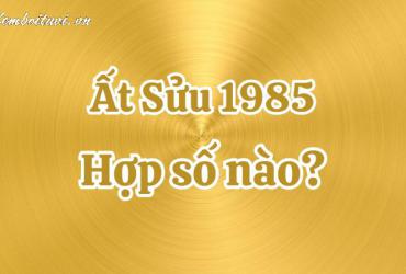 Khám Phá Bí Ẩn Con Số May Mắn Cho Người Sinh Năm 1985: Sim Phong Thủy Đổi Vận