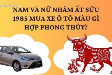 Sinh năm 1985 mua xe màu gì? Màu xe phong thủy cho tuổi Ất Sửu