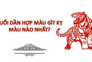 Sinh năm 1986 hợp màu gì? Những màu sắc may mắn cho tuổi Bính Dần