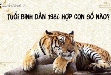 Người Sinh Năm 1986: Số May Mắn Nào Thay Đổi Vận Mệnh? Sim Phong Thủy Nào Mang Lại Tài Lộc