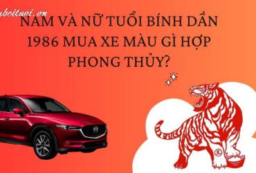 Sinh năm 1986 mua xe màu gì? - Lựa chọn màu xe hợp phong thủy tuổi Bính Dần