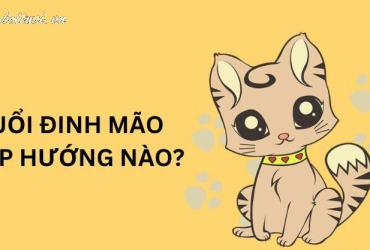 Sinh năm 1987 hợp hướng nào? Hướng dẫn chi tiết cho tuổi Đinh Mão