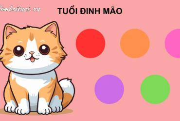 Sinh Năm 1987 Hợp Màu Gì? Bí Quyết Chọn Màu Sắc May Mắn Cho Tuổi Đinh Mão