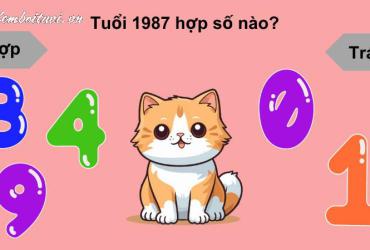 Khám Phá Con Số May Mắn Cho Người Sinh Năm 1987: Bí Mật Sim Phong Thủy Hợp Mệnh