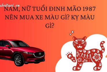Sinh năm 1987 mua xe màu gì?