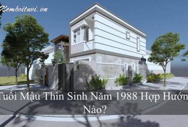 Sinh năm 1988 hợp hướng nào? Hướng dẫn đầy đủ cho tuổi Mậu Thìn