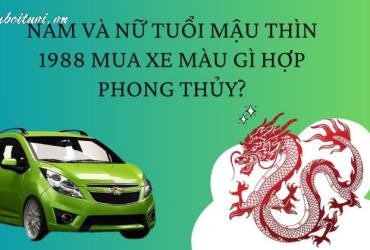 Sinh năm 1988 mua xe màu gì?