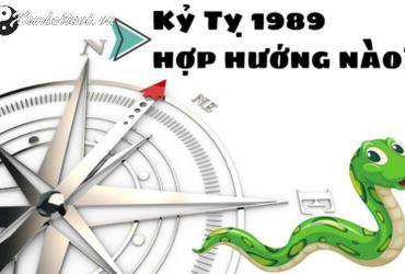 Sinh năm 1989 hợp hướng nào? Bí quyết phong thủy cho tuổi Kỷ Tỵ