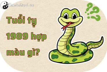 Sinh năm 1989 hợp màu gì? Bí quyết chọn màu sắc hợp mệnh Đại Lâm Mộc